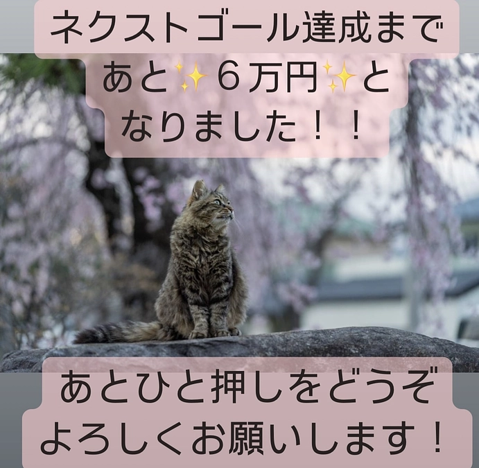 あと６万円です！！ネクストゴール達成が見えてきました！！！