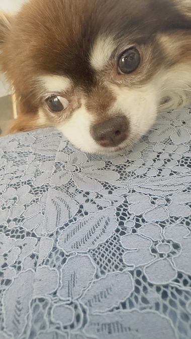 お盆期間なのに台風ですね。。。🌀😭