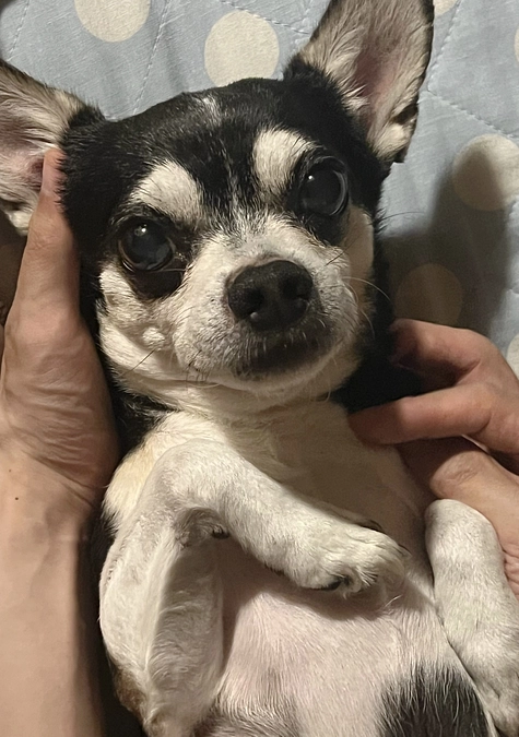 クラウドファンディング22日目‼︎