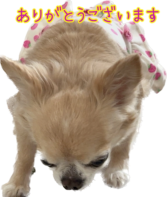 ‼️達成のご報告‼️ありがとうございます