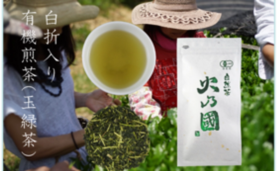 淹れ方で表情を変える有機緑茶「火乃國緑（玉緑茶）」を堪能しながらサポートコース