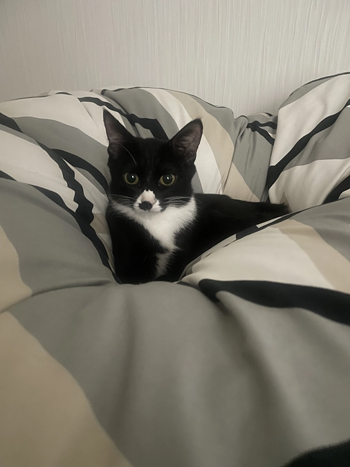 治療開始から3度目の注射