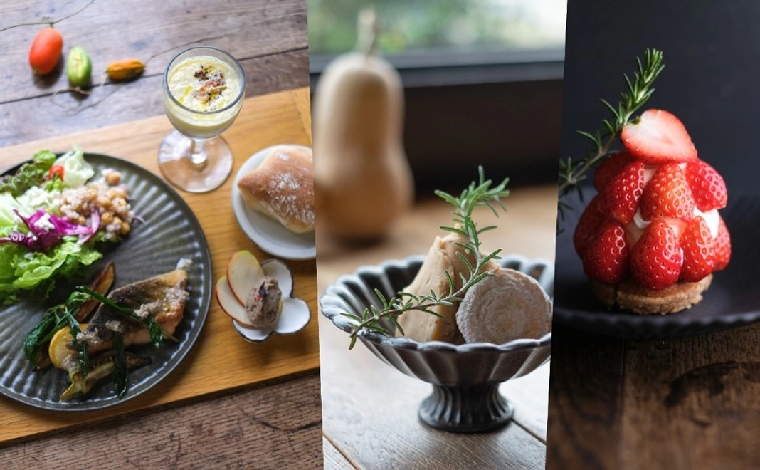 A|JIKE STUDIO FARMを応援・割引チケット