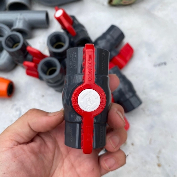 【活動報告⑪】いよいよ9月に突入です