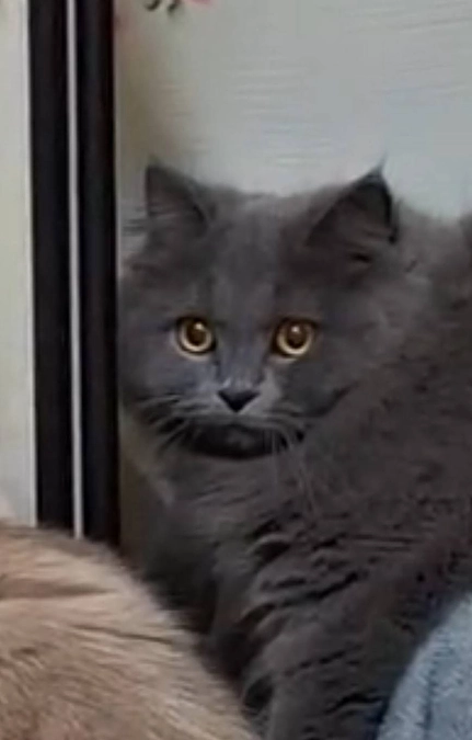 今日も元気いっぱい☘️