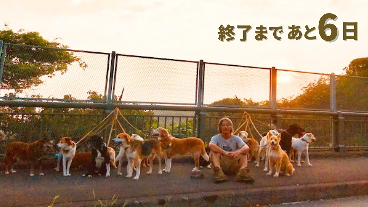 【あと6日！】殺処分される犬たちの存在が大きくなったとき、自分が幸せでいられなくなりました。