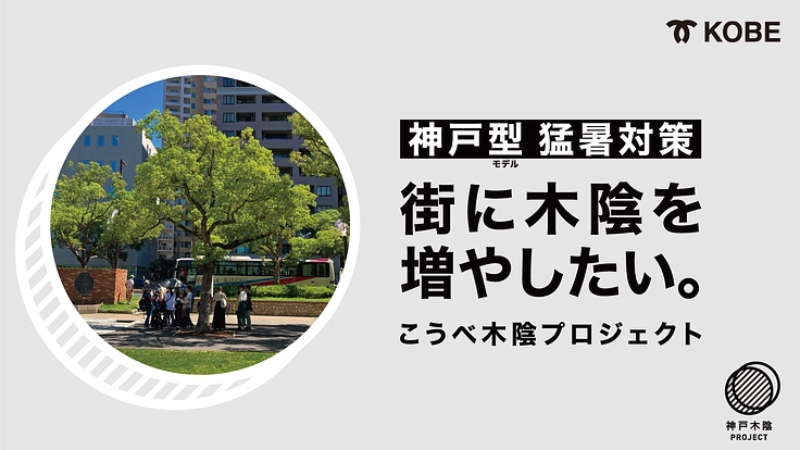 神戸の街に、癒しの空間を。夏の異常高温に備える木陰をつくりたい - クラウドファンディング READYFOR