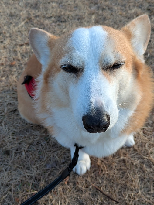 病理検査結果！