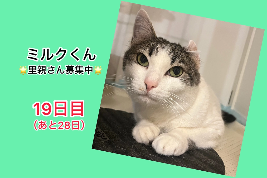 ご飯も大事です‼️（3/3  19日目）