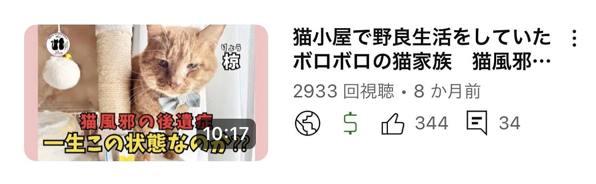 酷かった猫風邪の影響で術後再発しました