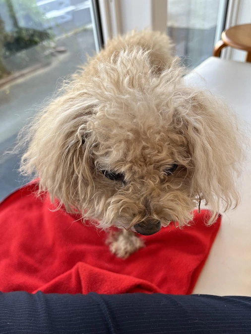 続　面会の様子