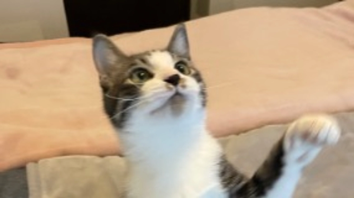 桜が咲き始めました