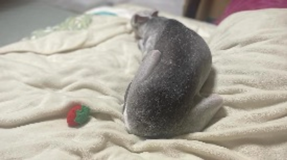 残り21時間⏳達成率54%💦