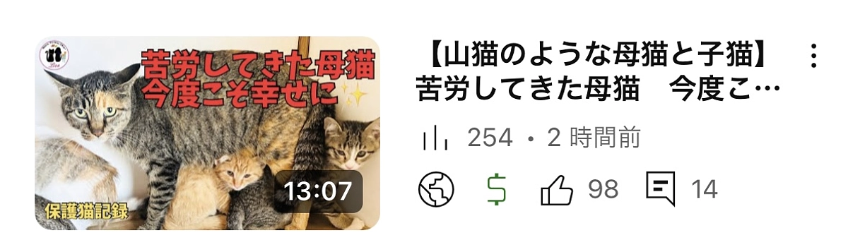 母猫の愛情を受けて元気に育ってます