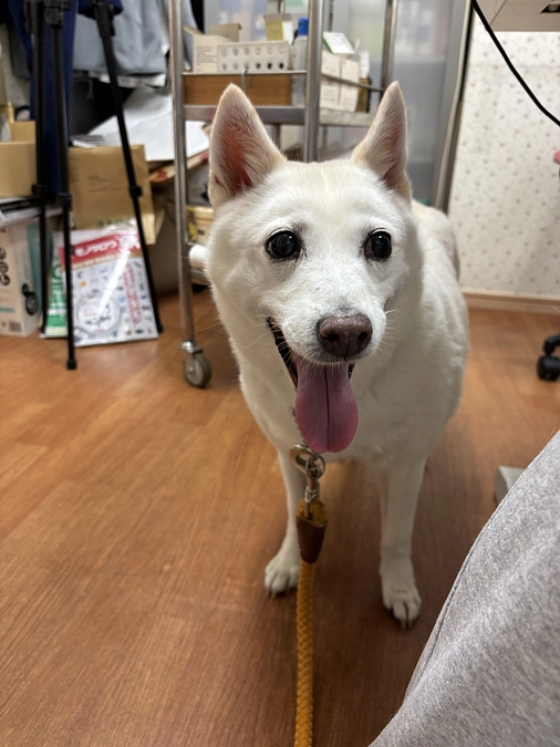 想いが届きますように