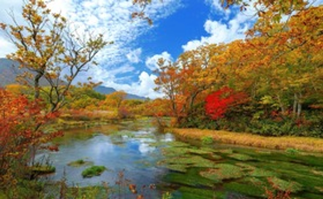 お礼メッセージと八甲田のフォトグラフ集