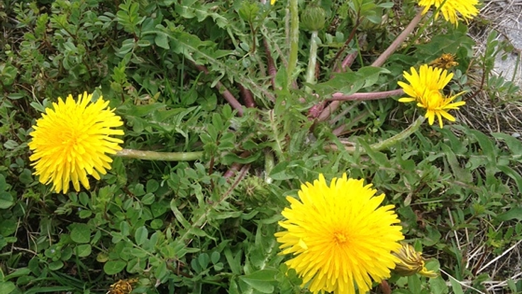 復興作業をするための道具を購入！貧困による再犯を防ぎます！