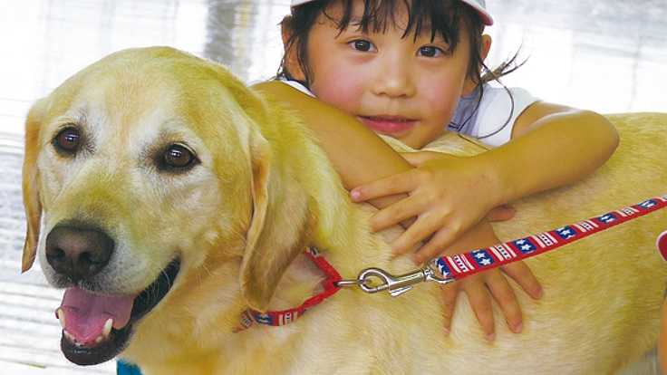 1000人の心を救った犬の移動手段を確保したい