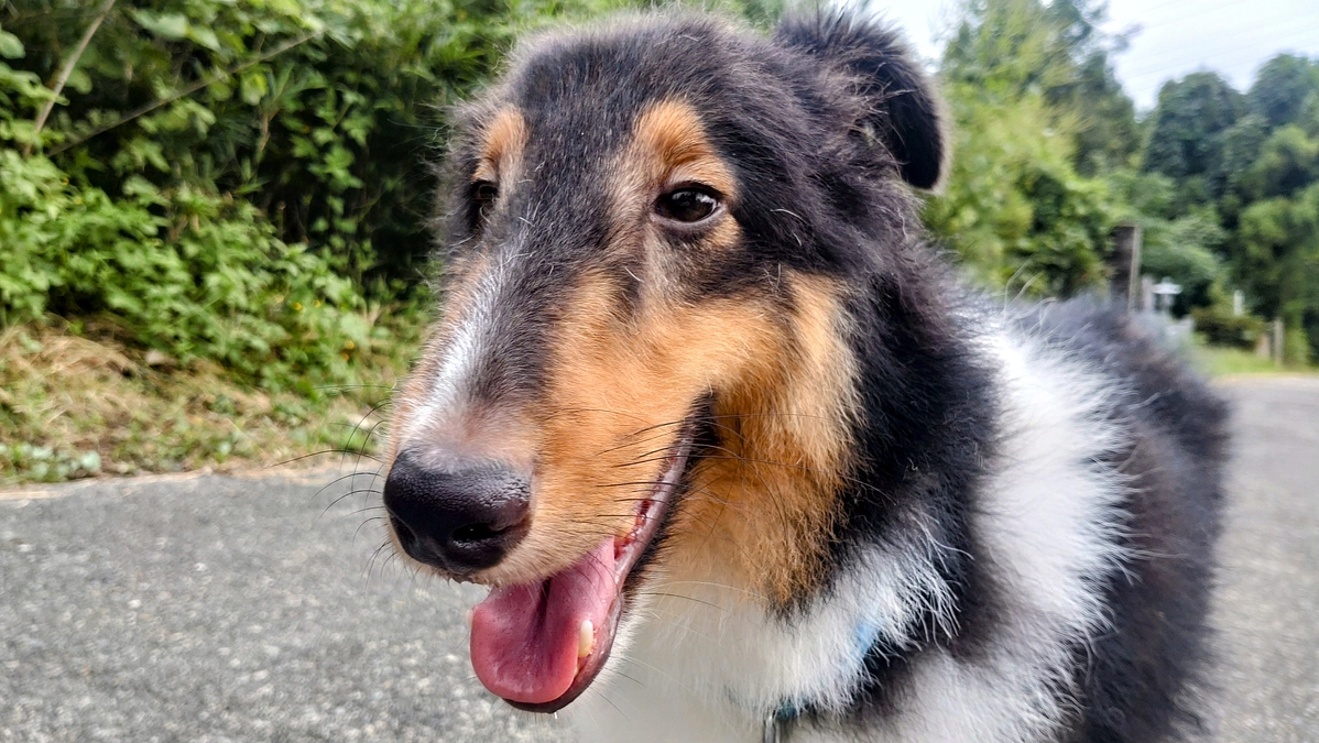 8月分のご寄付、ありがとうございました！