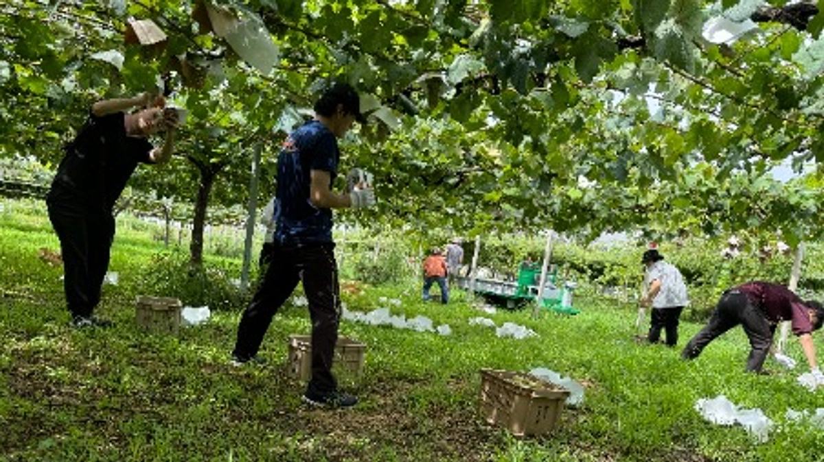 新規プロジェクトの立上げ？