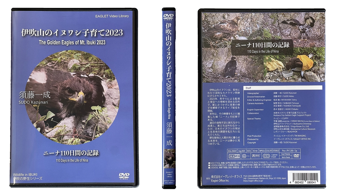 DVD「伊吹山のイヌワシ子育て2023」完成