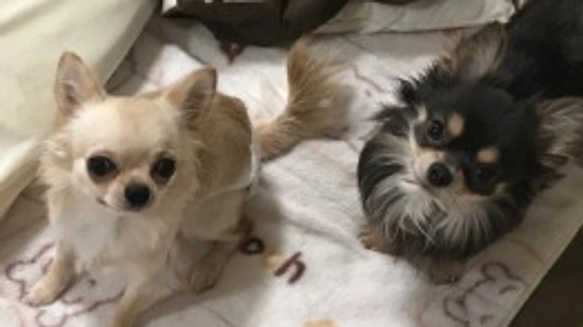 目標金額に達成しました！