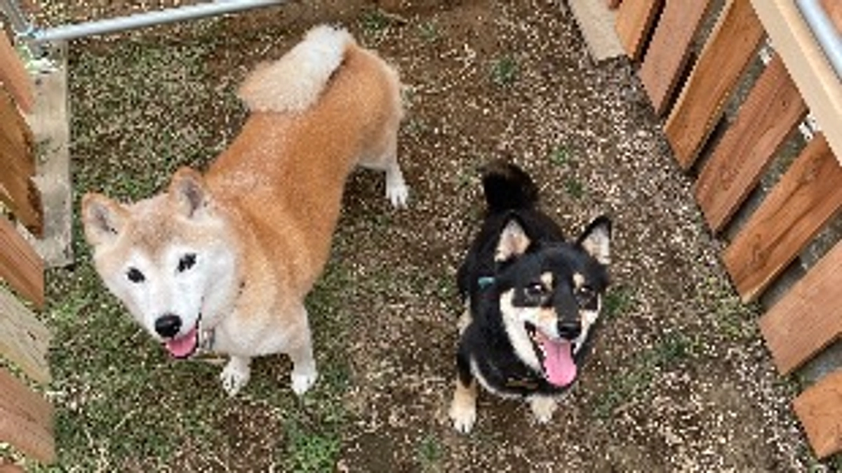 実際に連れてきてみてのテスト