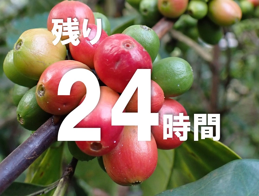 【残り24時間】商品をつくる人も幸せに！