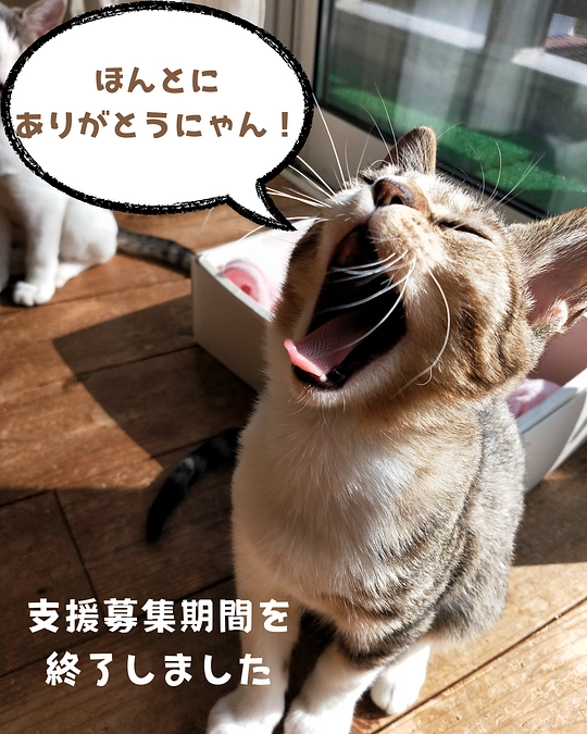 【支援募集期間終了のお知らせ】皆様たくさんのご支援を本当にありがとうございました。