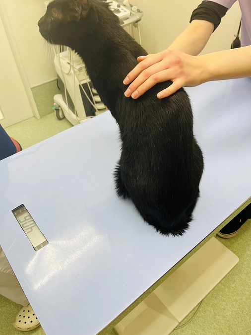 経過検査でした。