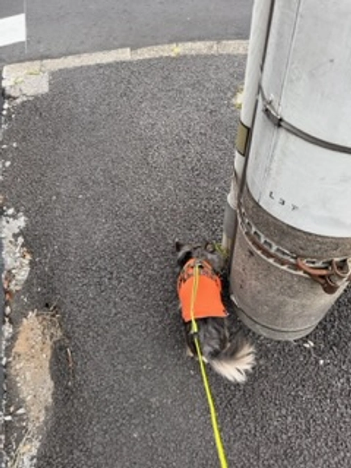 え😳何ヶ月ぶり⁉️