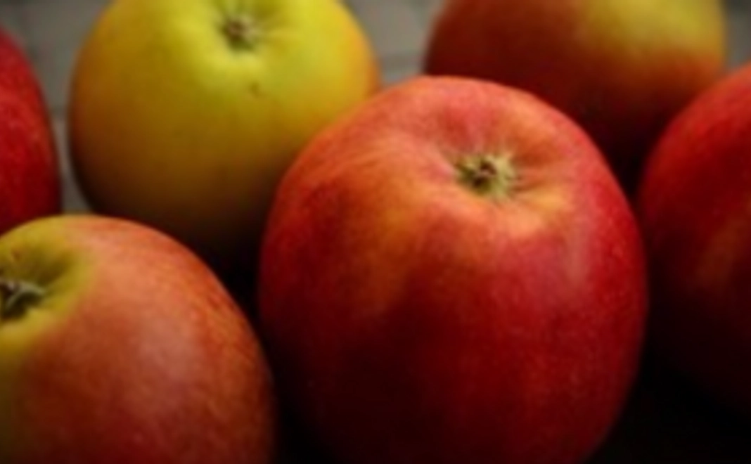 【限定20名の早割！】青森自慢のりんご（5kg）にありがとうの気持ちを添えて