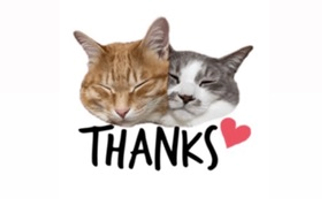 ‪✿感謝のメール1