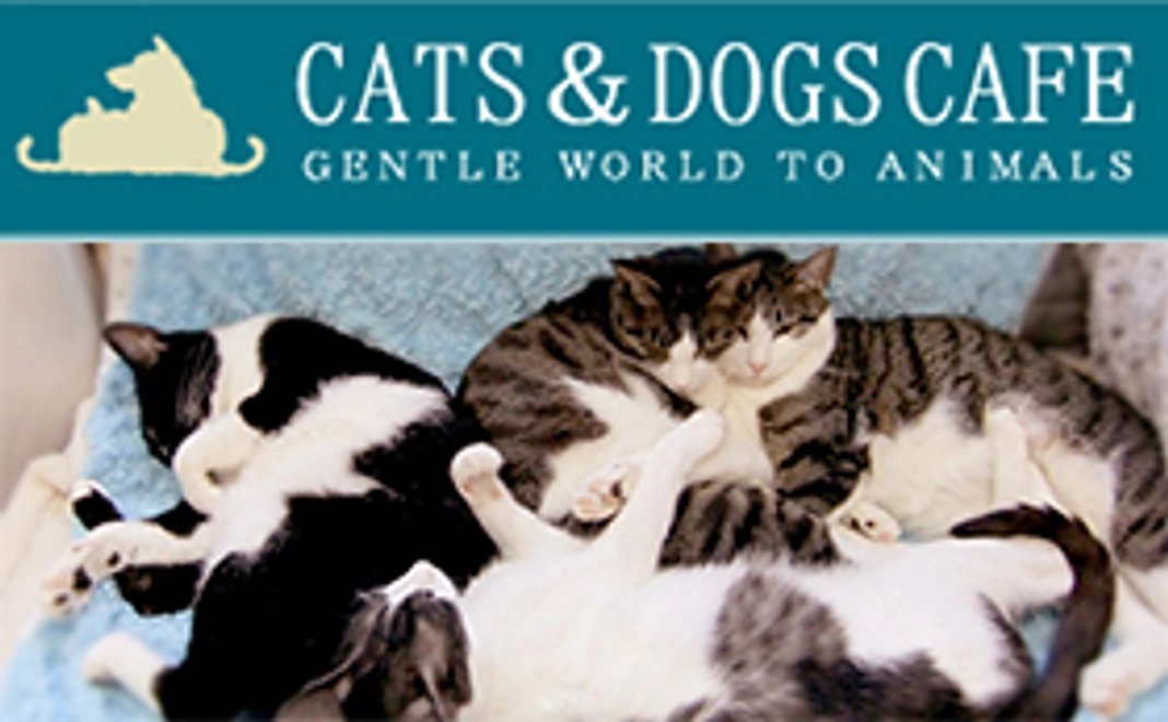 ◆CATS&DOGS CAFE（東京都墨田区の里親募集型猫カフェ）活動を応援！！