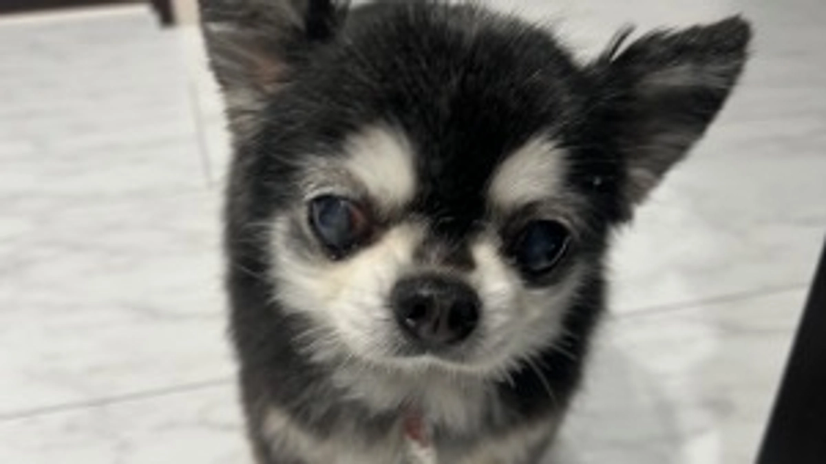 インスタなどでDM送らせて貰ってます。