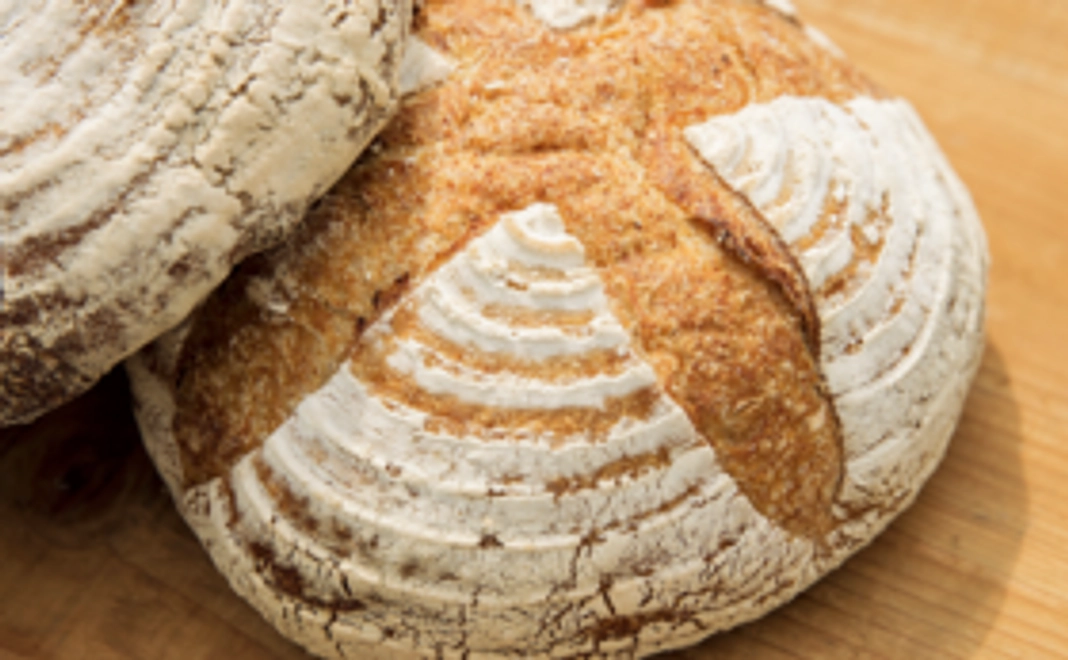 『地元の方向け』先行予約チケット