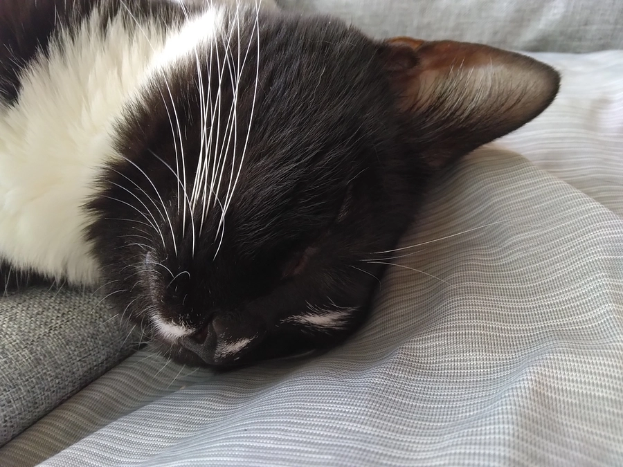 7/2はなちゃんの様子