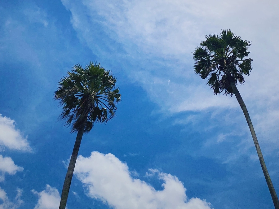 クラウドファンディング達成いたしました！応援ありがとうございました。