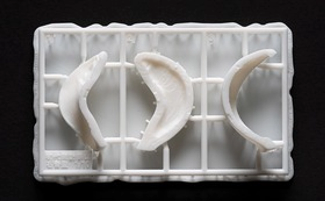 A｜石膏型の3Dプリント縮小模型付き（鯉置物1/10　樹脂製）