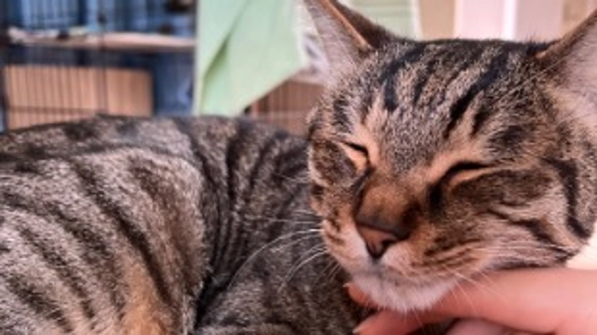 【今日のなっちゃん】5月13日