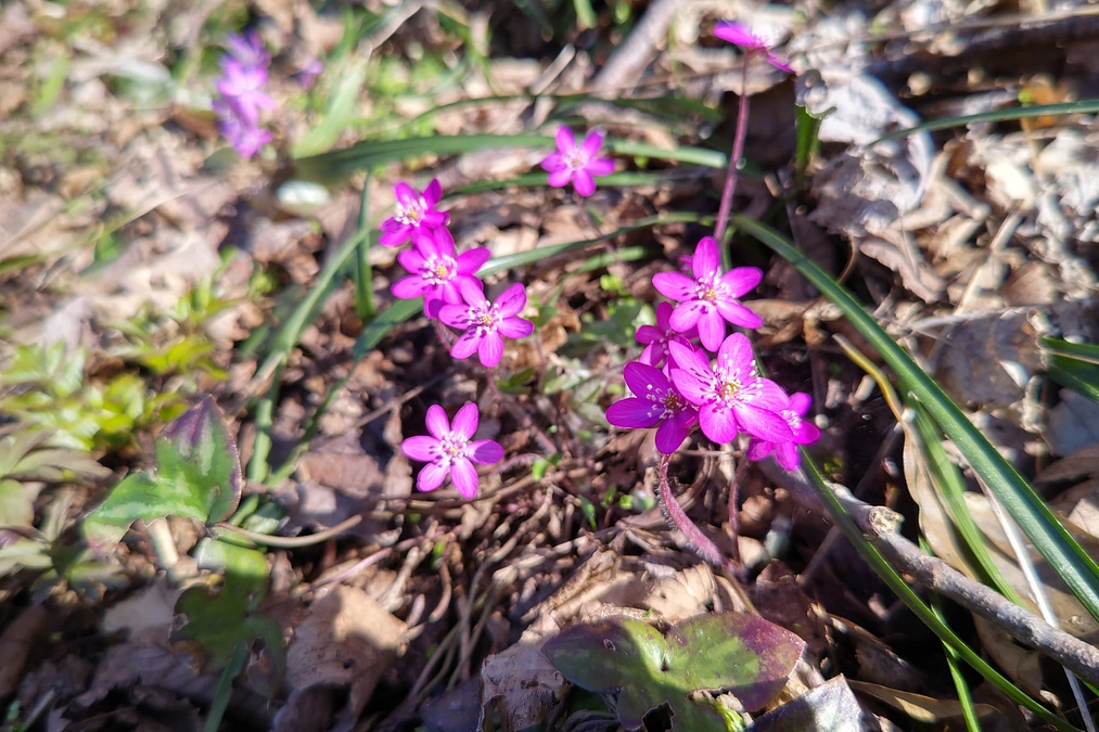皆様の温かいご支援、本当にありがとうございました！