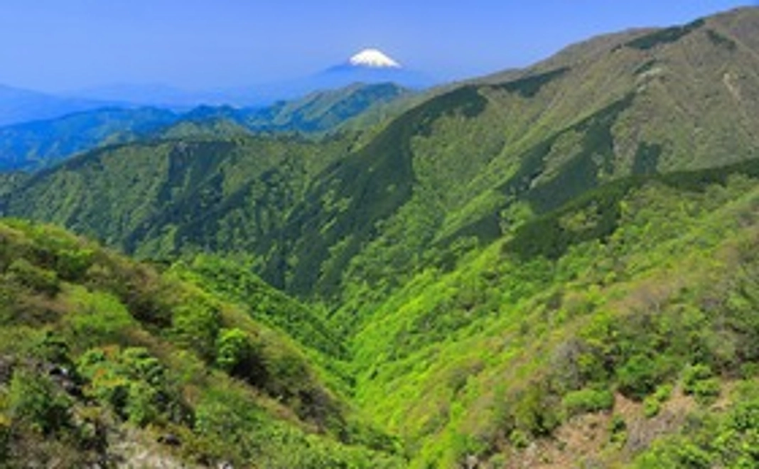 【全力応援】3,000円コース