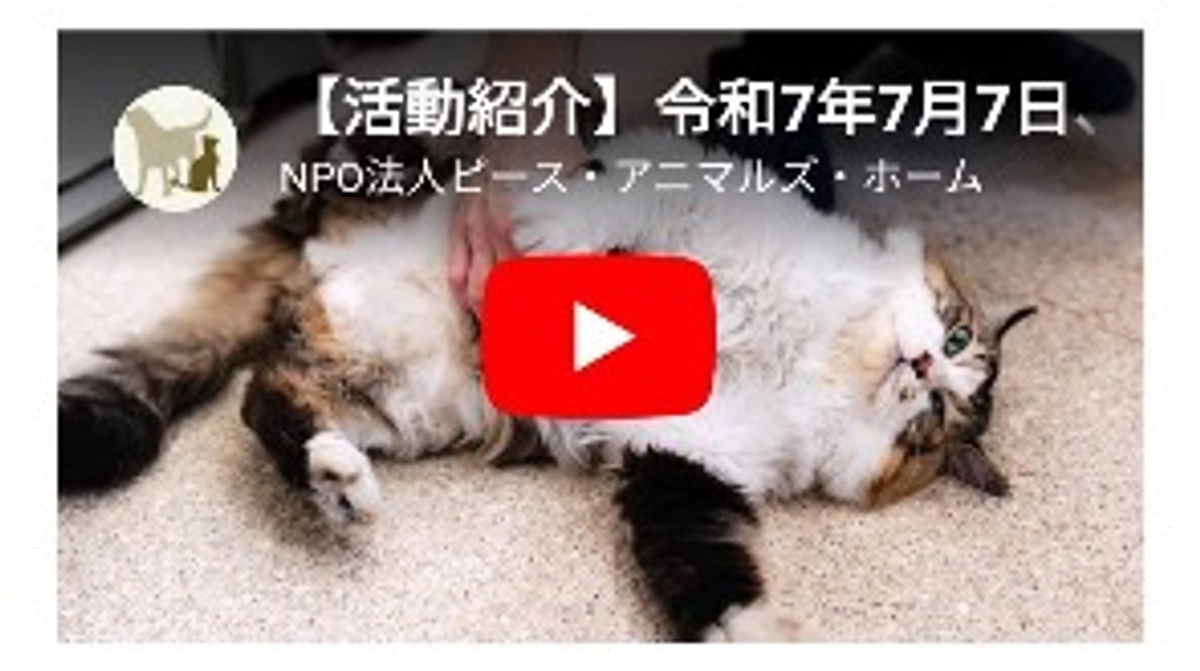 音楽家の滝沢卓さんが施設の動物たちの幸せを繋ぐためにYouTubeを作ってくださいました！