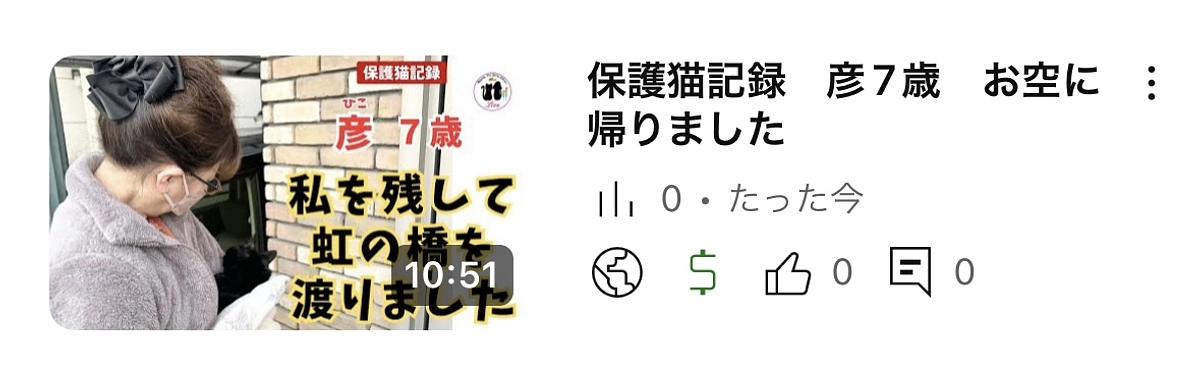 私を残して虹の橋を渡りました