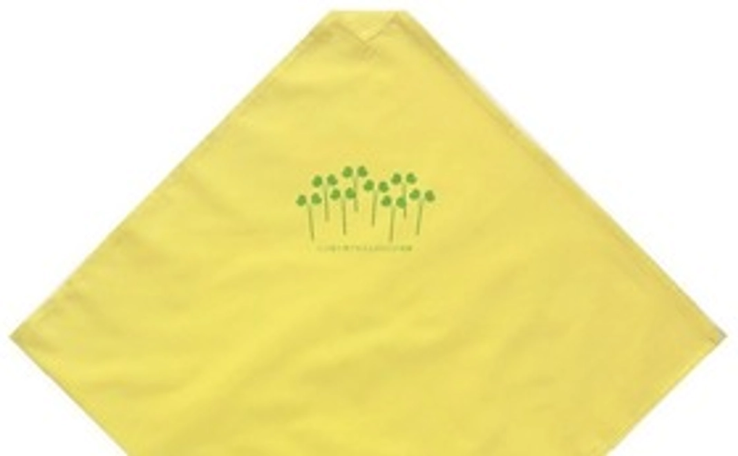 ご支援ありがとうございます。「黄色いエコハンカチ」の普及に役立たせていただきます。