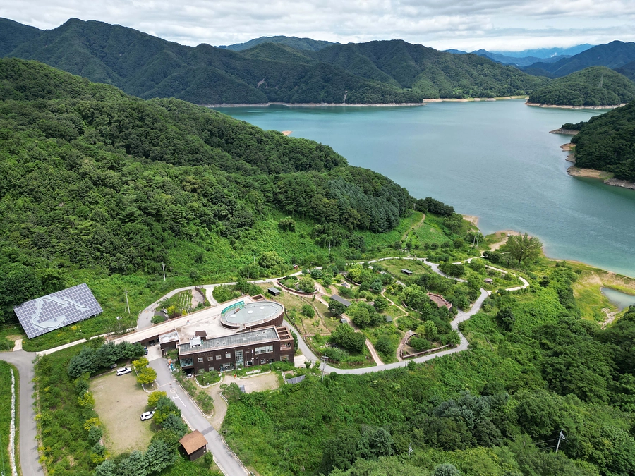 世界の中で日本のカワウソを考えたい