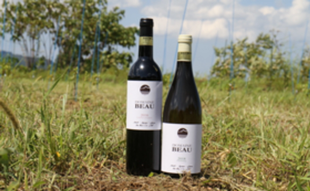 【Readyfor限定】ワイナリー『ドメーヌ・ボー』メモリアルカード