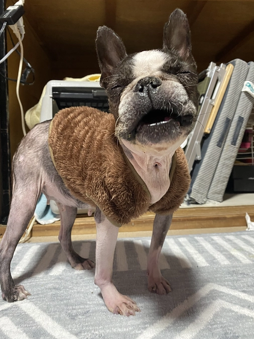 プロジェクト達成しました🍑取り急ぎ