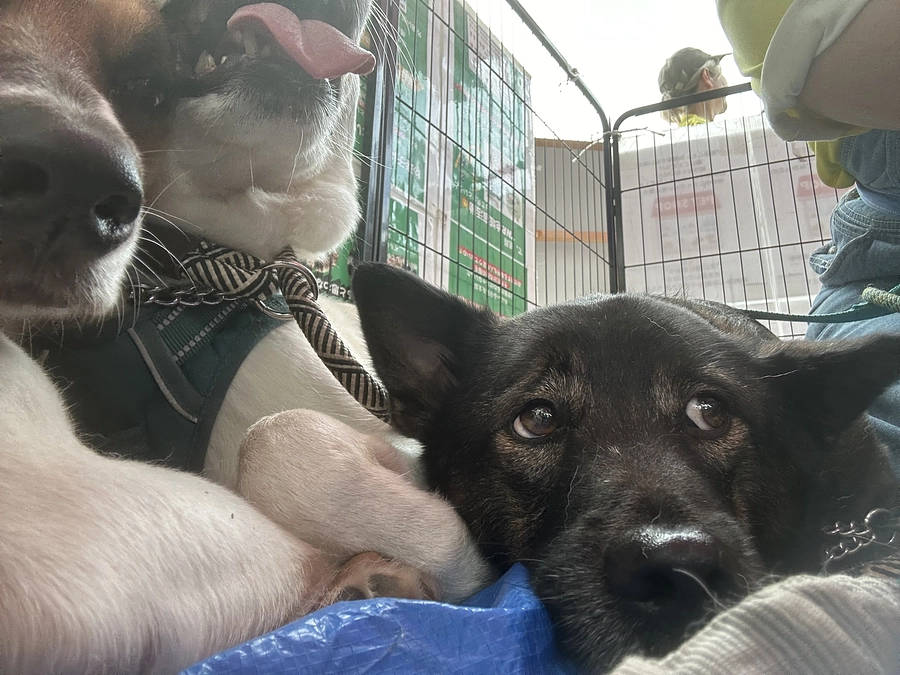 終了まであと5日！ネクストゴール達成に向けて応援よろしくお願いします！