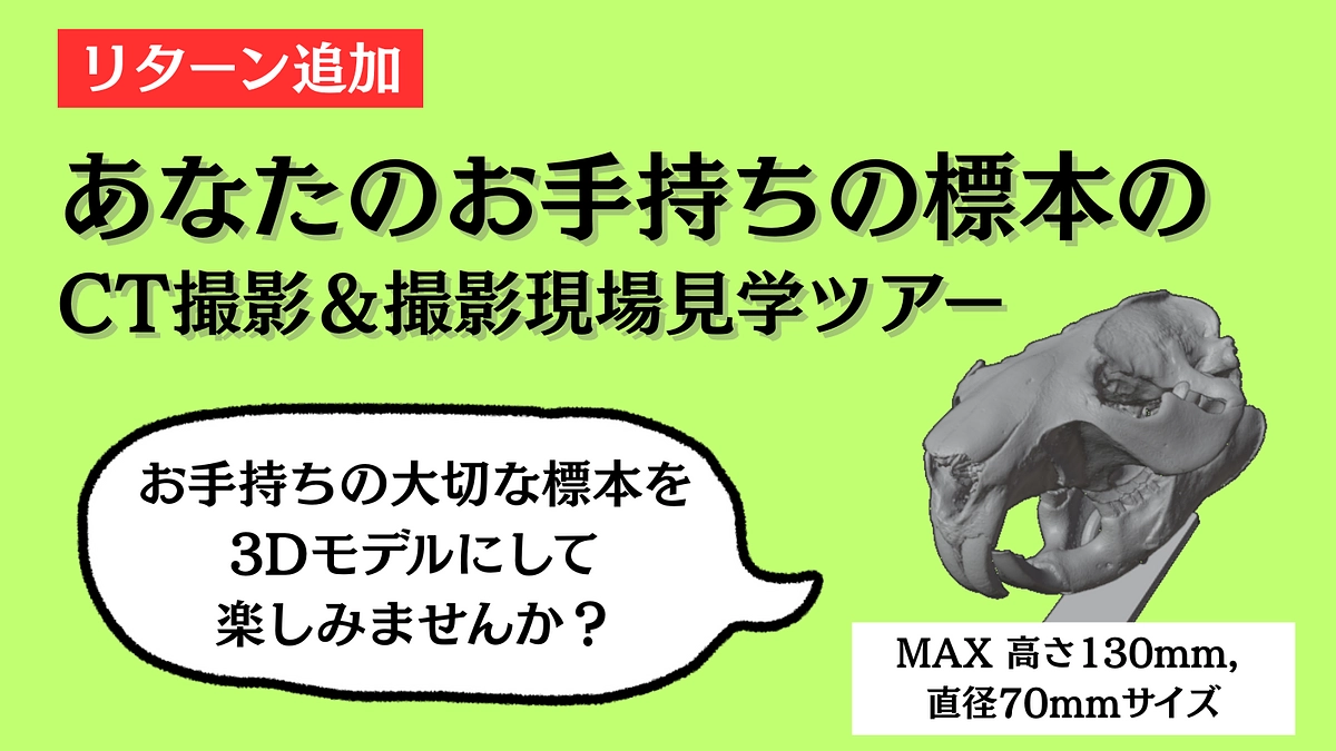 【自分の推し標本をお持ちの皆様へ】お手持ちのお好きな標本も3Dモデルにしませんか？